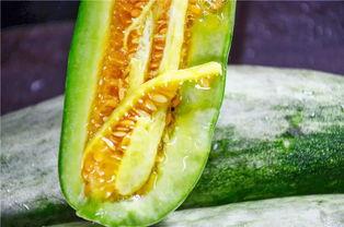 网红吃瓜 记录,揭秘娱乐圈幕后故事