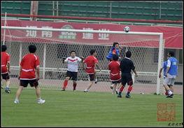 足球赛事新闻爆料大全,盘点热点事件与幕后真相